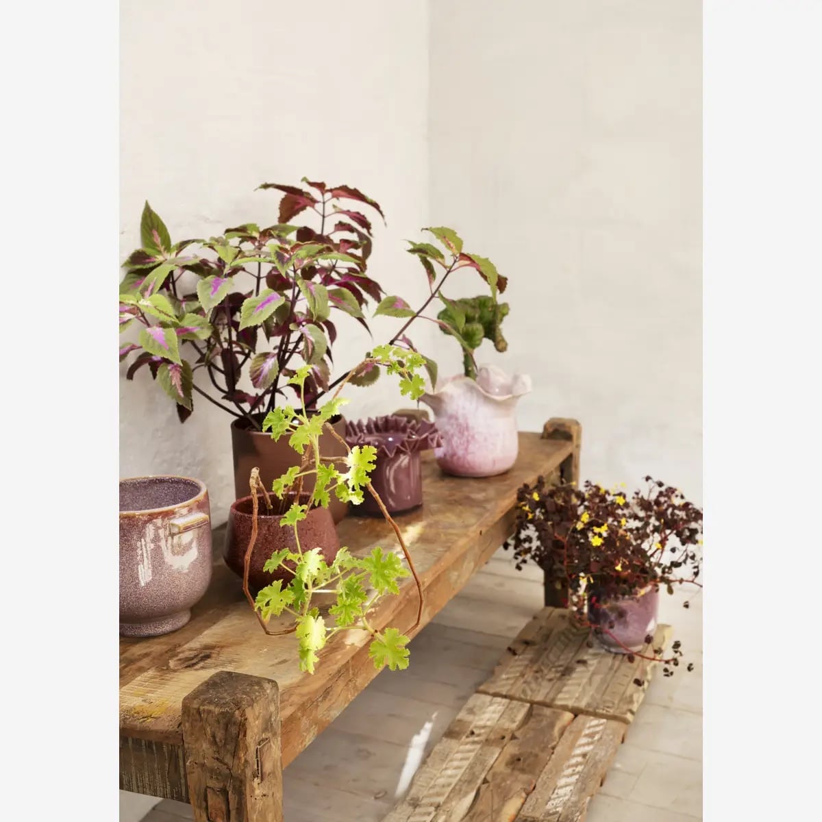 Banc ancien en bois recyclé, Inde – Image 6